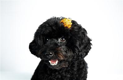 国产ARPG《失落之魂》确定将参加2023ChinaJoy 提供现场实机试玩